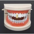 Teeth Grillz - Cross Cap Single - A Grade Quality