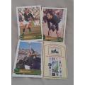 1995 RWC Schedule card and 3 Springbok legends cards.One bid for all!