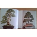 Bonsai - The Complete Guide to Art & Technique