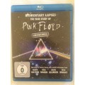 Momentary Lapses: The True Story of Pink Floyd