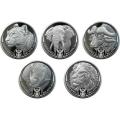 Stunning Complete Collection (5 Coins) of RSA Big 5 Series 1 BU Fine-Silver R5`s