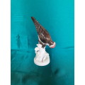 A stunning Rosenthal porcelain bird figurine