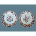 A pair of large beautiful decorative plates