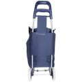 (FREE SHIPPING) Grocery Large Shopping Trolley Bag Push Foldable Grocery Luggage - Blue,Black