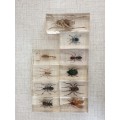 INSECTS IN PERSPEX