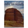 Mada`in Saleh --  Mohammed Babelli