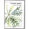 Cussonia-spesies: boom van die jaar 1987 -- C. J. Esterhuyse