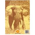 Shell Road Atlas of Southern Africa