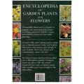 Encyclopaedia of Garden Plants and Flowers  --  Lance Hattatt