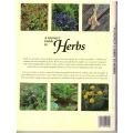 A Grower`s Guide to Herbs -- Geoffrey Burnie