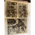 Rugby - (128 page review) The 1981 Sprinboks in New Zealand (Wellington Paper Publication)