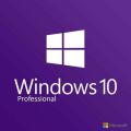 WINDOWS 10 PRO PROFESSIONAL GENUINE LICENSE KEY  INSTANT DELIVERY WORLDWIDE.