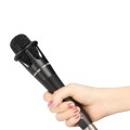 Encore 300 Premium Vocal Condenser Microphone
