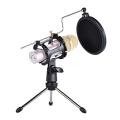 Proffessional Foldable Desktop Microphone Tripod Stand with Pop Shield Dual Filter