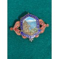 Table Mountain Cableway Pin Badge