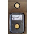 2019 LOST HOARD - Golden 1/10 Krugerrand and 1895 ZAR Half Pond (NGC XF45). Low Mintage 233