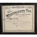 SOUTH AFRICA - `Zaaiplaats Tin Mining Company Limited`. Share Certificate number L1995. 31 May 1929