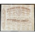 SOUTH AFRICA - `The Herman Patent Conglomerate`. 100 Shares issued. Certificate no 116. 14 June 1896