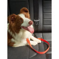 Pet Car Safety Seat Belt leash (for dogs and cats)