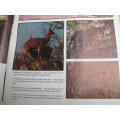 `Custos` Magazine May/Mei 1992.  The National Parks and Wildlife magazine/Tydskryf oor ons Natuur