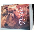 `Prides.  The Lions of Moremi`  Chris Harvey and Pieter Kat.  Hard cover.