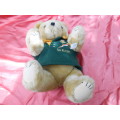 S.A. Rugby supporter teddy bear - small - 300mm high.