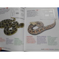 `My first book of Southern African Snakes & other Reptiles`  Soft cover.