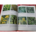 `A-Z of Herbs`  Margaret Robert.  Hard cover.