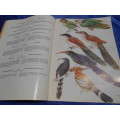 `Voels van die Kruger Wiltuin/Birds of the Kruger & Other National Park`  Vol. 2. Soft cover.