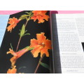 `Perennials` Photographs: Paul Starosta & Text: Marion Ferraud.  Hard cover.