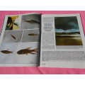 `Tropical Fish Hobbyist`  Magazine.  June, 1982.