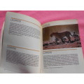 `Animals of Etosha/Die Tiere in Etoscha/Diere van Etosha`  Soft cover.