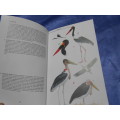 Birds of Southern Africa.  Kenneth Newman.  Hard cover.