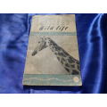 1952.  `African Wildlife` Vol. 6.  No. 1 Soft cover.