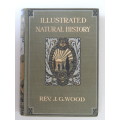 Illustrated Natural History - Rev. J.G. Wood - 1854  2nd Ed.