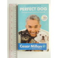 How To Raise The Perfect dog Through Puppyhood and Beyond - Cesar Millan