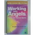 Working with Angels - Fairies & Nature Spirits - William Bloom