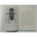 The House Fly, A Slayer of Men - FW Fitzsimons     1915, First Edition