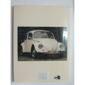 The VW Beetle -  A Celebration of the VW Bug - Christy Campbell