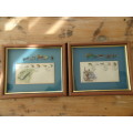 Vintage 1981 set of two Framed Transkei fly fishing first day covers with matching Trout flies