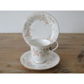 Royal Albert for all seasons Trio, Autumn Sunlight, excellent condition, others available
