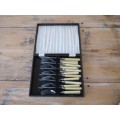 Vintage 6 place boxed Bone handle Fish fork and knife Set, Chrome plate on Nickel Silver, 12 piece