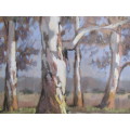 Original large Marc Poisson pastel on paper Painting "Blue Gum Trees" 61x 47cm, investment art