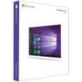 Microsoft Windows 10 Professional OEM Edition Key (Activation key)
