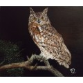 Spotted Eagle Owl - Oil painting by L J Robinson (Framed)