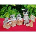 Small Cat School Ornaments