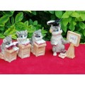 Small Cat School Ornaments