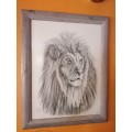 Lion Graphite Pencil sketch by L.J. Robinson