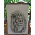 Lion Graphite Pencil sketch by L.J. Robinson