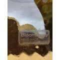 Beautiful Bloomsbury handmade Amber glass vase